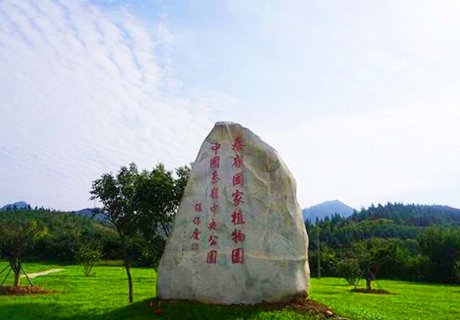 陕西秦岭国家植物园 世界最大自然风貌植物园