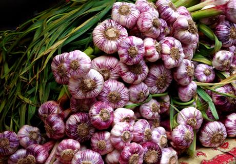 青海海东乐都紫皮大蒜风味独特营养丰富大蒜地理农产品