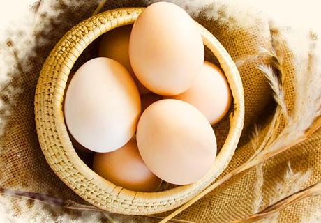 宁夏盐池滩鸡蛋无公害林地西北农家散养土鸡蛋地理农产品