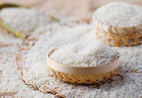 陕西汉中大米长粒香米西北农家自产大米，宝宝婴儿熬粥米