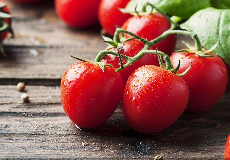 西红柿蕃茄冬季“空心果”的防治?