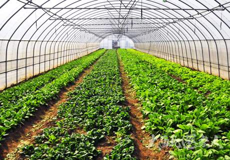 中国农学会五大举措助力农业科技创新