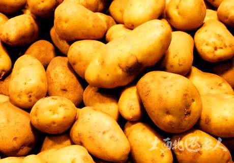 甘肃力争优质马铃薯面积稳定在1000万亩左右
