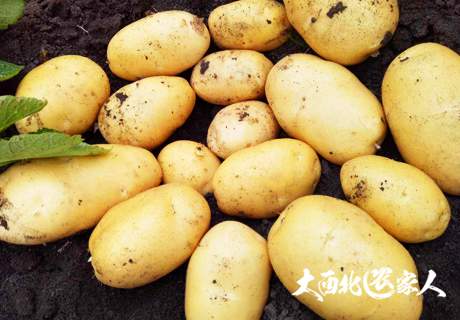 甘肃民乐县打造马铃薯全产业链