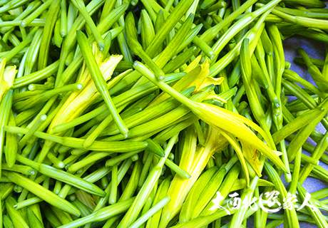 陕西渭南大荔黄花菜金针菜针长，色佳肉厚味香营养丰富