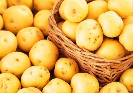 青海省海东市互助土族马铃薯土豆表皮光滑薯形大产量高