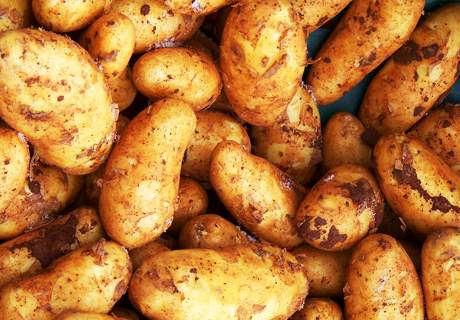 宁夏中卫市海原土豆马铃薯富含钾离子西北农家地理农产品