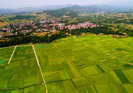 改革开放40年，陕西农业发展成就“想不到”